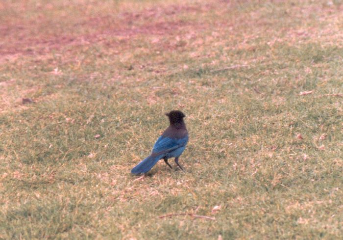 ../Images/209.Road No 1.jpg